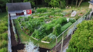July Garden Overview - Photo Courtesy of Meg Cowden