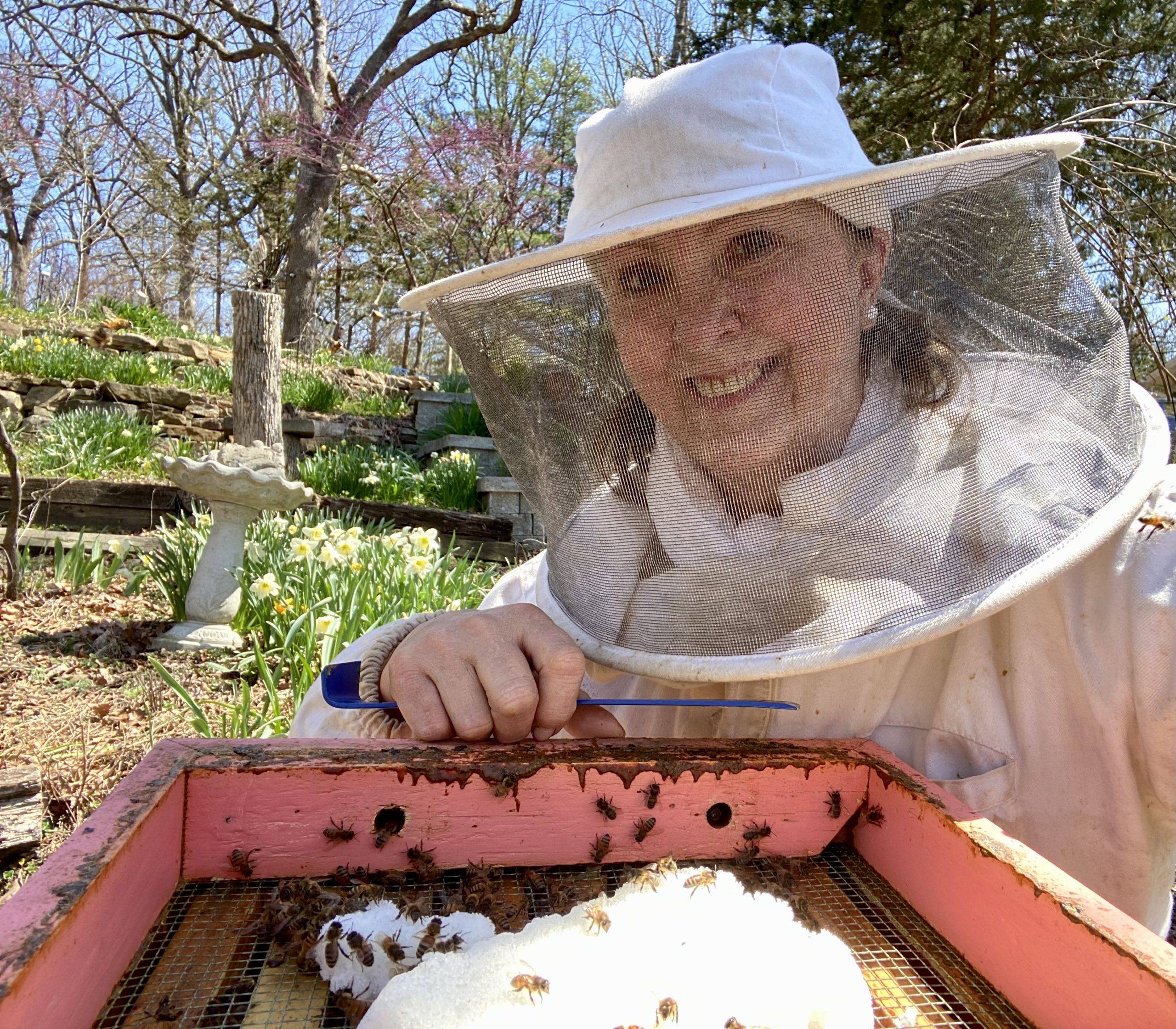 Winter supplemental feeding sugar cake in case bees run out of honey:
Image Courtesy of Charlotte Ekker Wiggins